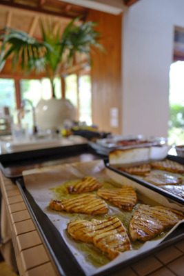 YWDF 2025 Nov C 003.jpg